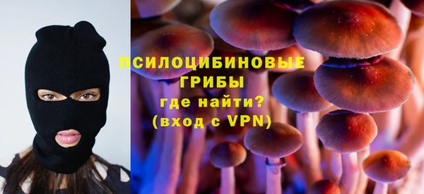 эйфоретик Бородино