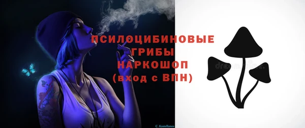мдпв Волоколамск