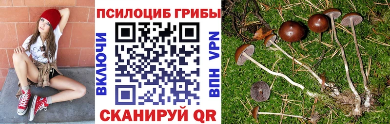 Галлюциногенные грибы MAGIC MUSHROOMS Дальнегорск